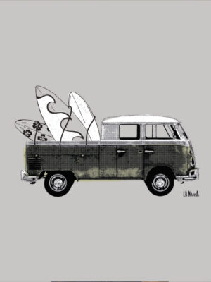 TRANSVAN M/C Damasc Pig.